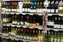 10B-IMG_20180219_101027-scaled