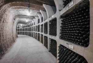 Najveća kolekcija vina
