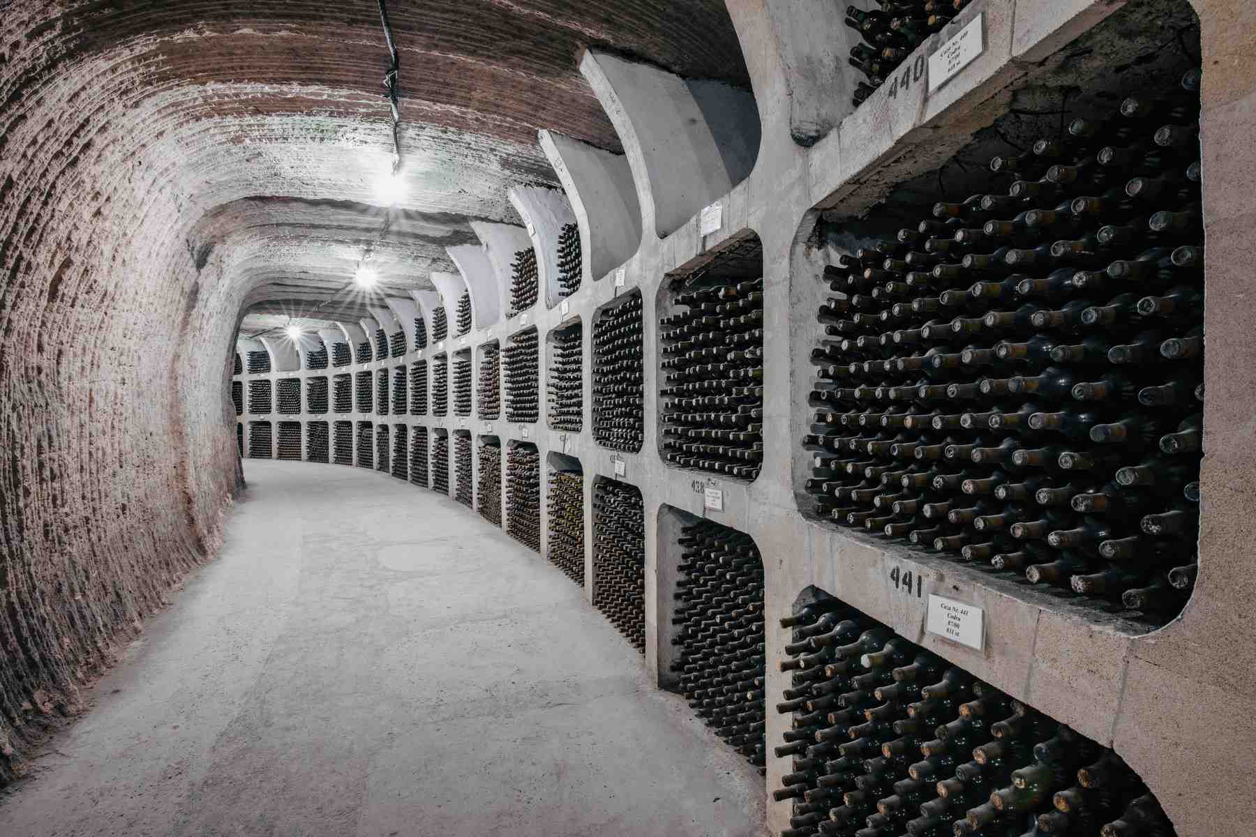 Najveća kolekcija vina