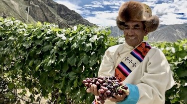Najviši vinograd. Tibet