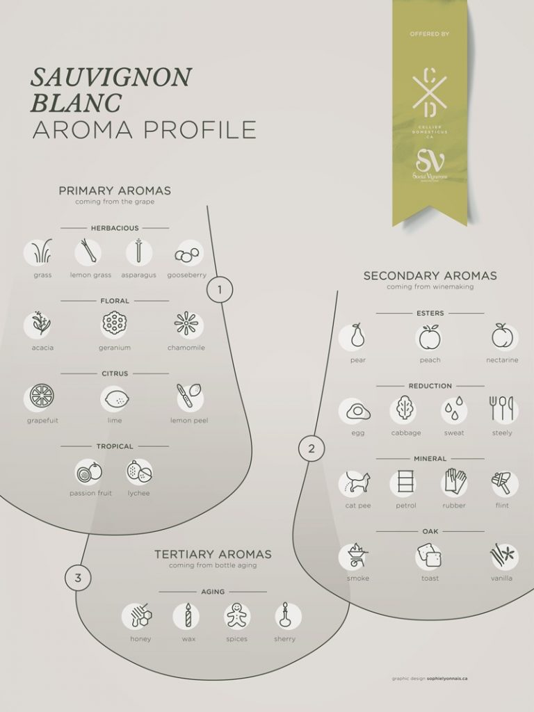 Slika. 2. Sauvignon Blanc - aroma profil