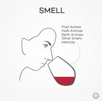 Kako probati vino