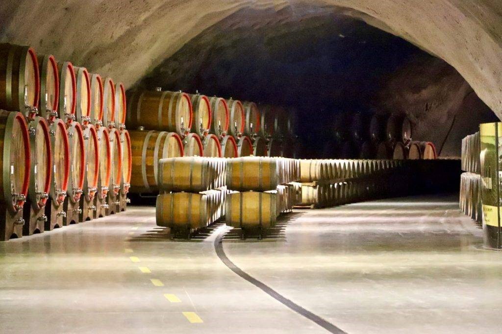 Plantaže – najveći vinograd u Evropi 