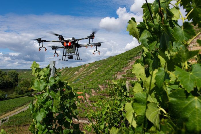 Dronovi nad strmim vinogradima