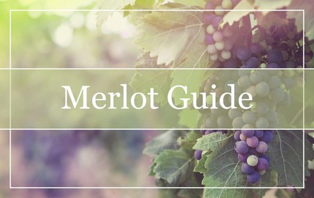Merlot – Sve što trebate znati
