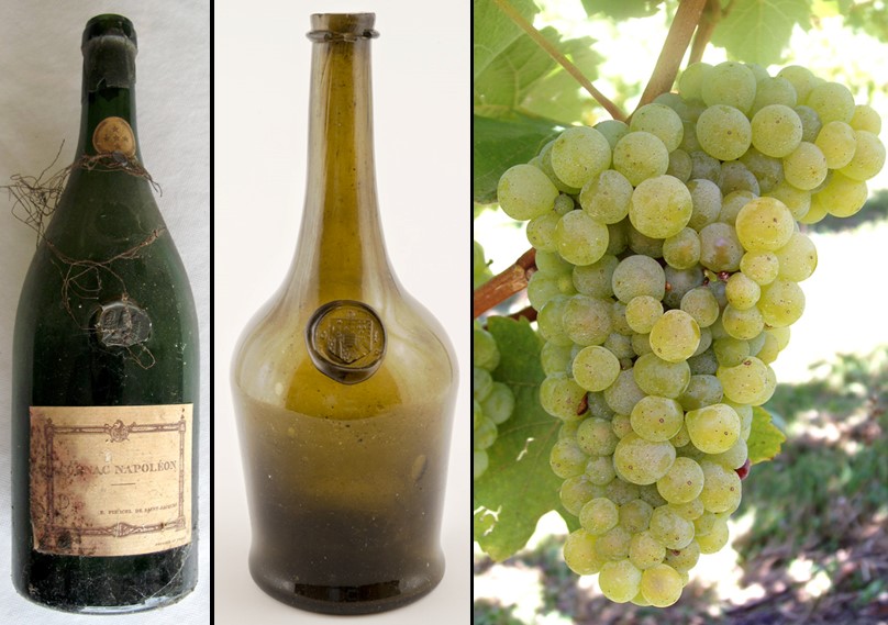 Istorija vina – 31. dio - Moderno i savremeno vinarstvo