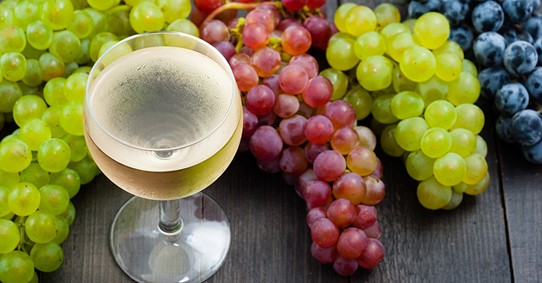 Vinsko i stono grožđe