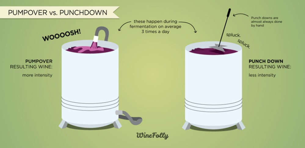 Procesi u proizvodnji vina