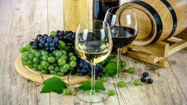 Etiketa degustacije vina za početnike