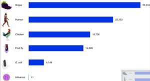 Zašto je vino tako fascinantno?