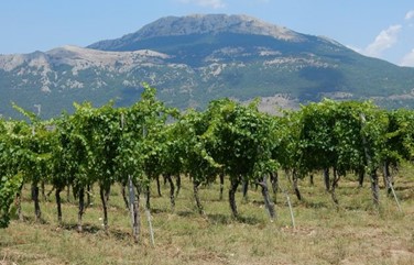 Od Grčke do Enotrije