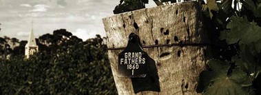 Magija starih čokota