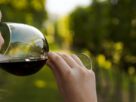 Umjerena konzumacija vina