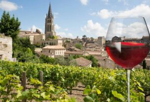 Francuska više ne definiše globalnu vinsku kulturu