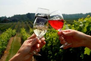 Koliko vino zaista vrijedi