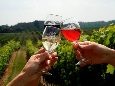 Koliko vino zaista vrijedi