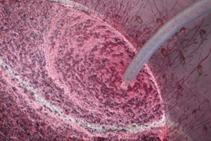 Otrovna isparenja u vinariji