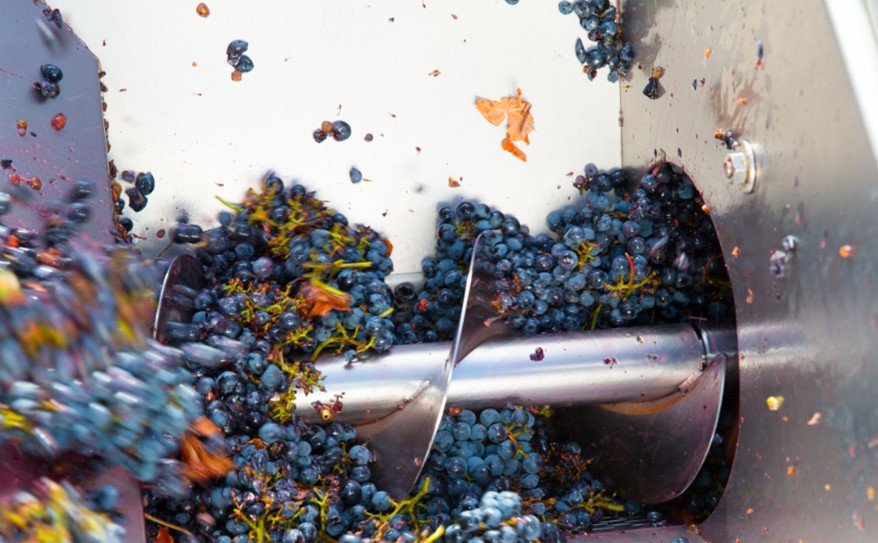 Gnječenje grožđa nogama