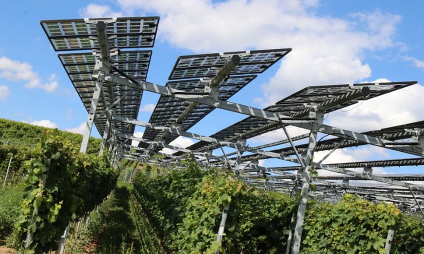 Fotonaponski sistemi u vinogradu