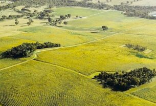 Robot rješenje za bolesti bez hemikalija