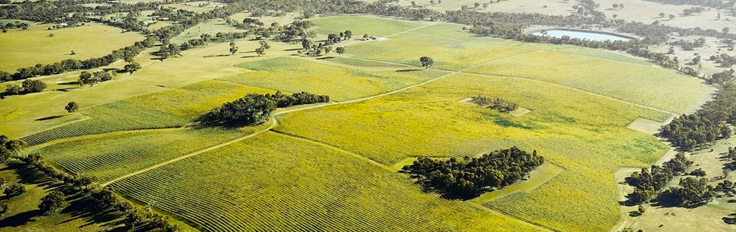 Robot rješenje za bolesti bez hemikalija