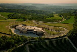 Bijelo vino popularnije od crvenog