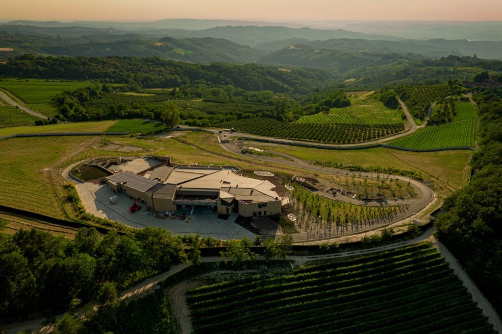 Bijelo vino popularnije od crvenog