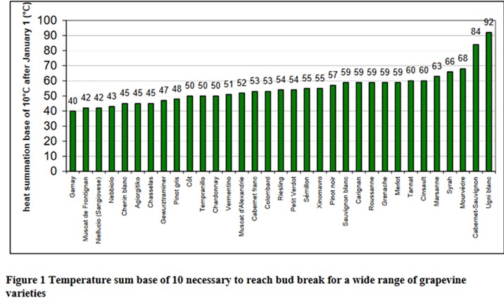 Istraživači se bore protiv klimatskih promjena 