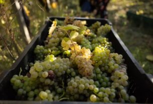 Najvažnije mješavine vina