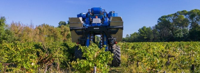 Oni koji piju vino žedni promjene