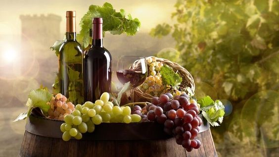 Prednosti umjerenog pijenja vina