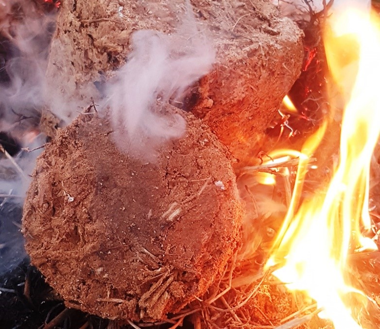 Korištenje komponenti grožđa u biotehnologiji