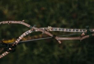 Genijalan i inovativan sistem protiv mraza