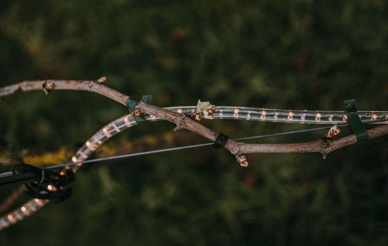 Genijalan i inovativan sistem protiv mraza