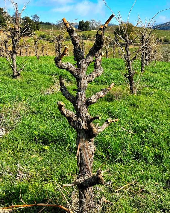 Eksperimentisanje sa tradicijom