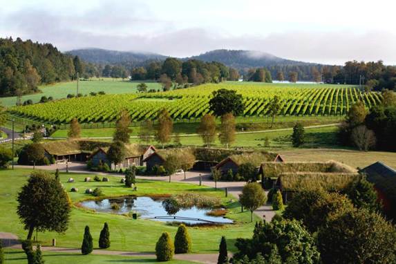 Švedski vinski pokret