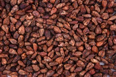 Pelete od sjemenki grožđa