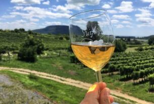 Devet vinskih regija udružuju snage