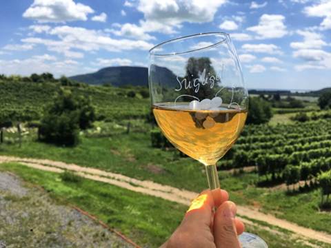 Devet vinskih regija udružuju snage