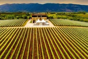 Vranec predstavlja najbolja vina