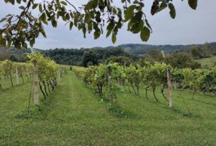 Nauka i praznovjerje