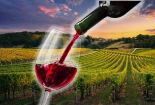 Kako dobro vino nagrađuje vašu pažnju