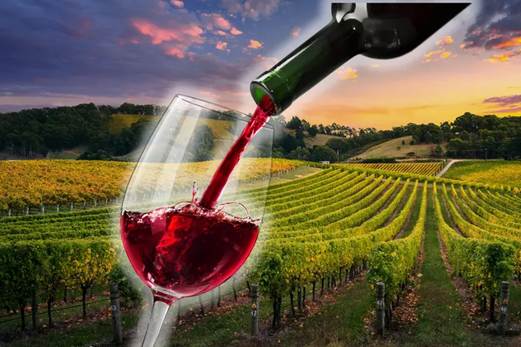 Kako dobro vino nagrađuje vašu pažnju