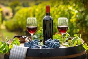 Savjeti kako razgovarati o vinu