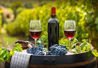 Savjeti kako razgovarati o vinu