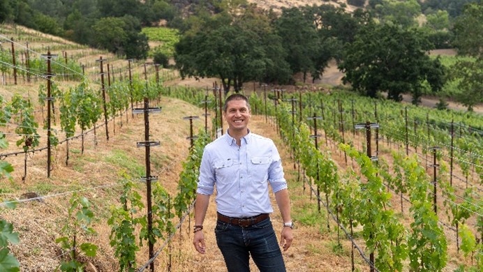 Nauka o gustoći čokota