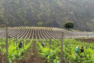 Butanski put ka finom vinu