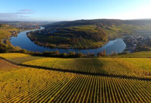 Savjet za ljubitelje vina
