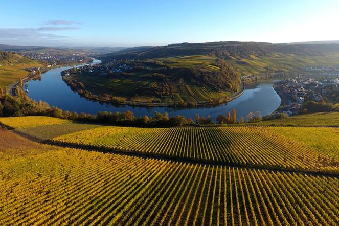 Savjet za ljubitelje vina