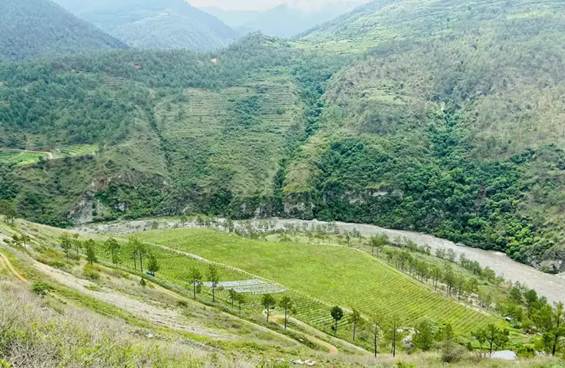 Butanski put ka finom vinu